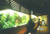 Krabi National Park Resort 